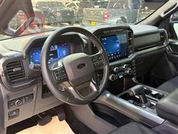 فورد إف-150